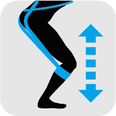 muscle function